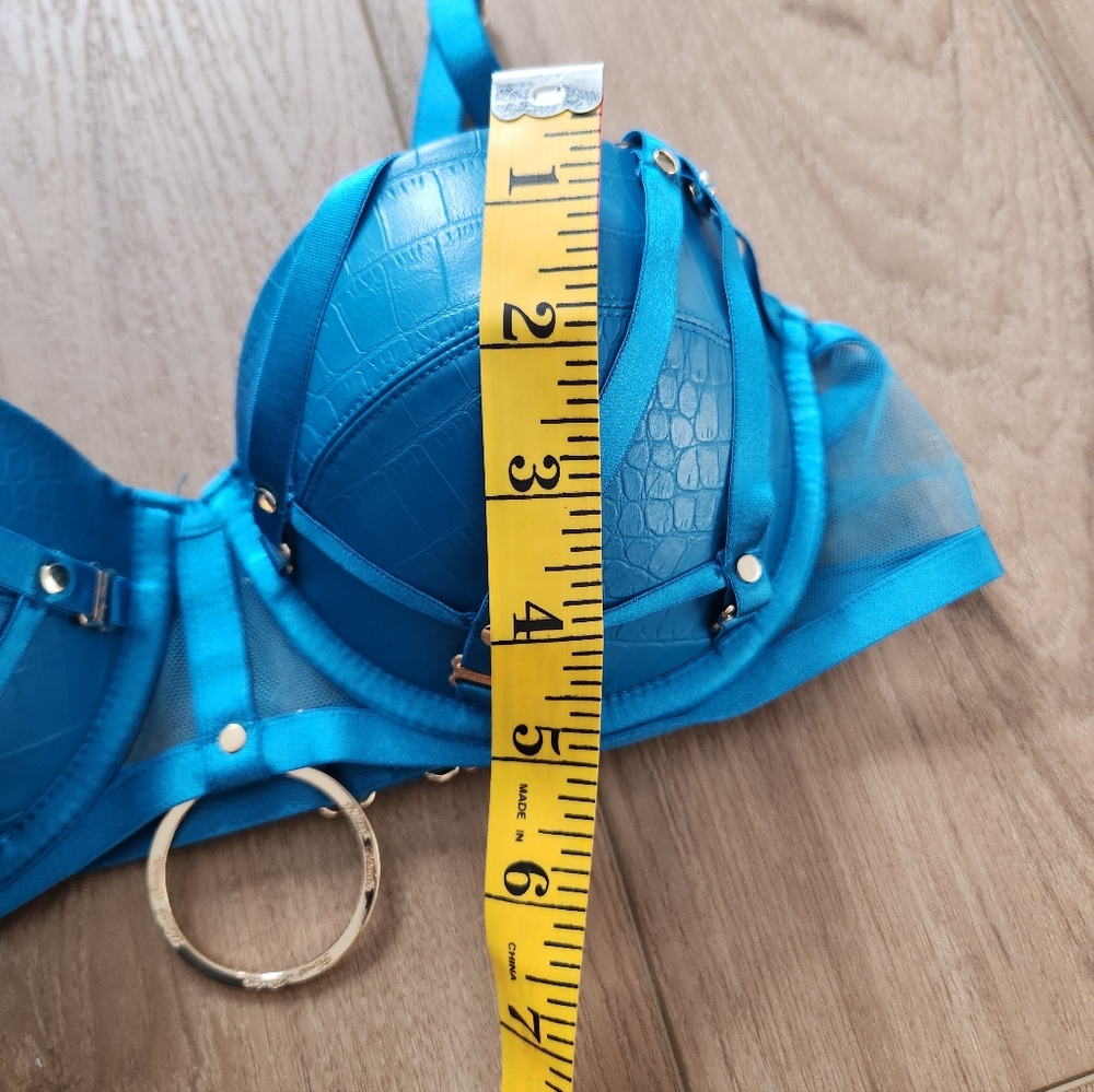 Honey Birdette Mistress T blue 34D Corset Only NWT - Picture 13 of 13